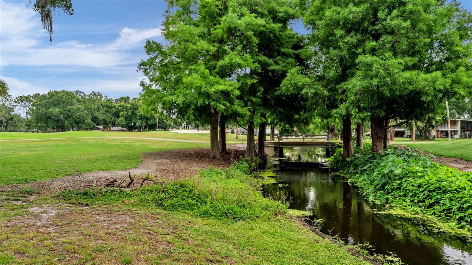 LONE PALM GOLF COURSE - Residential