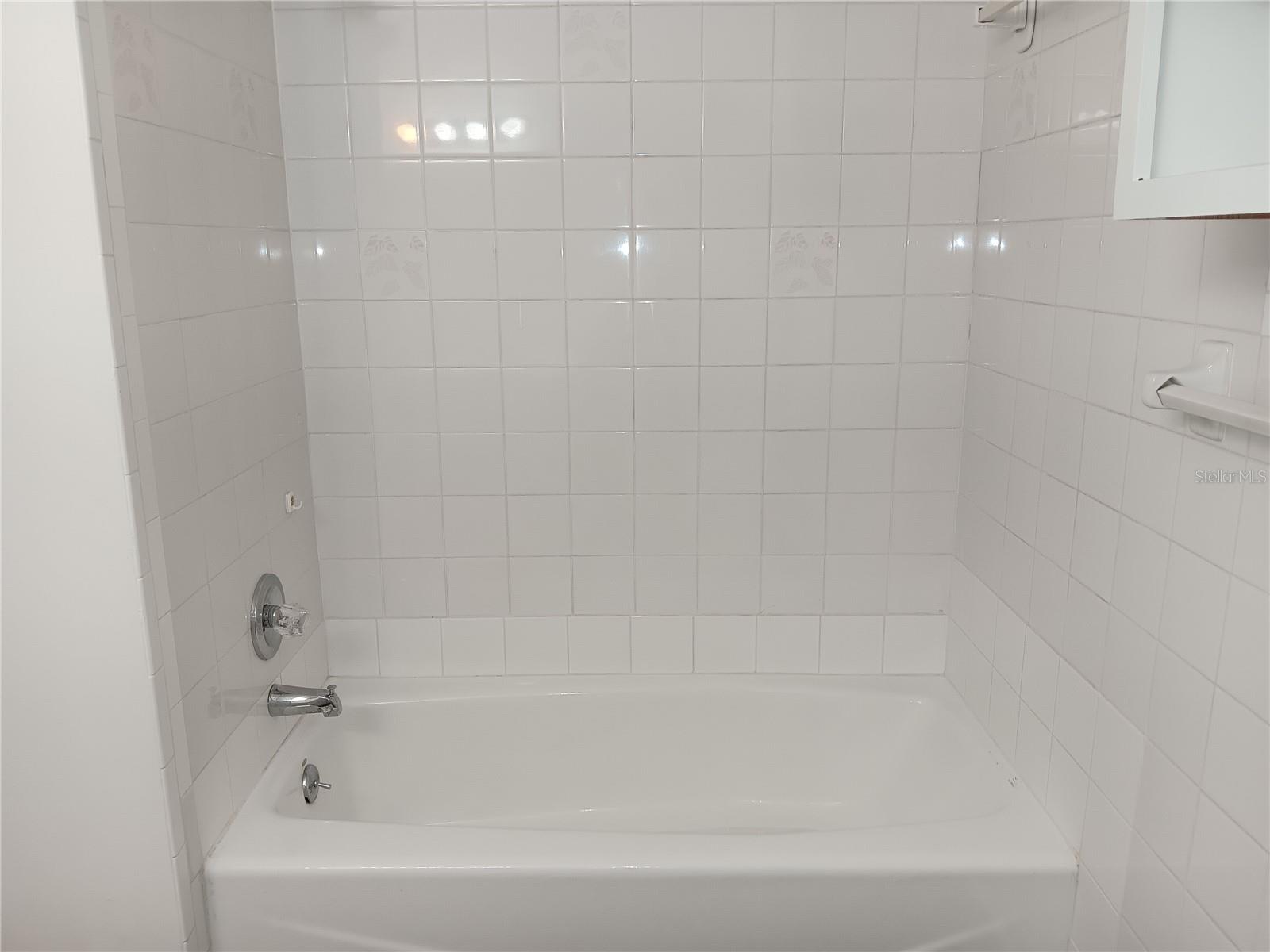 NORTH ST PETERSBURG - Residential Lease