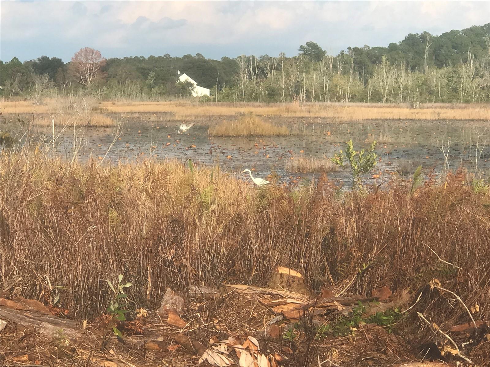 HAMANY ACRES UN 01 - Residential