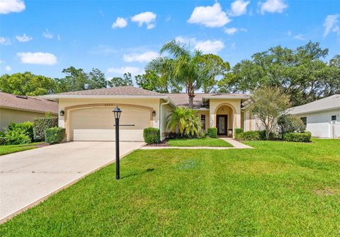 Photo of 2593 Crystal Lake Drive, Spring Hill, FL 34606 (MLS # W7886069)