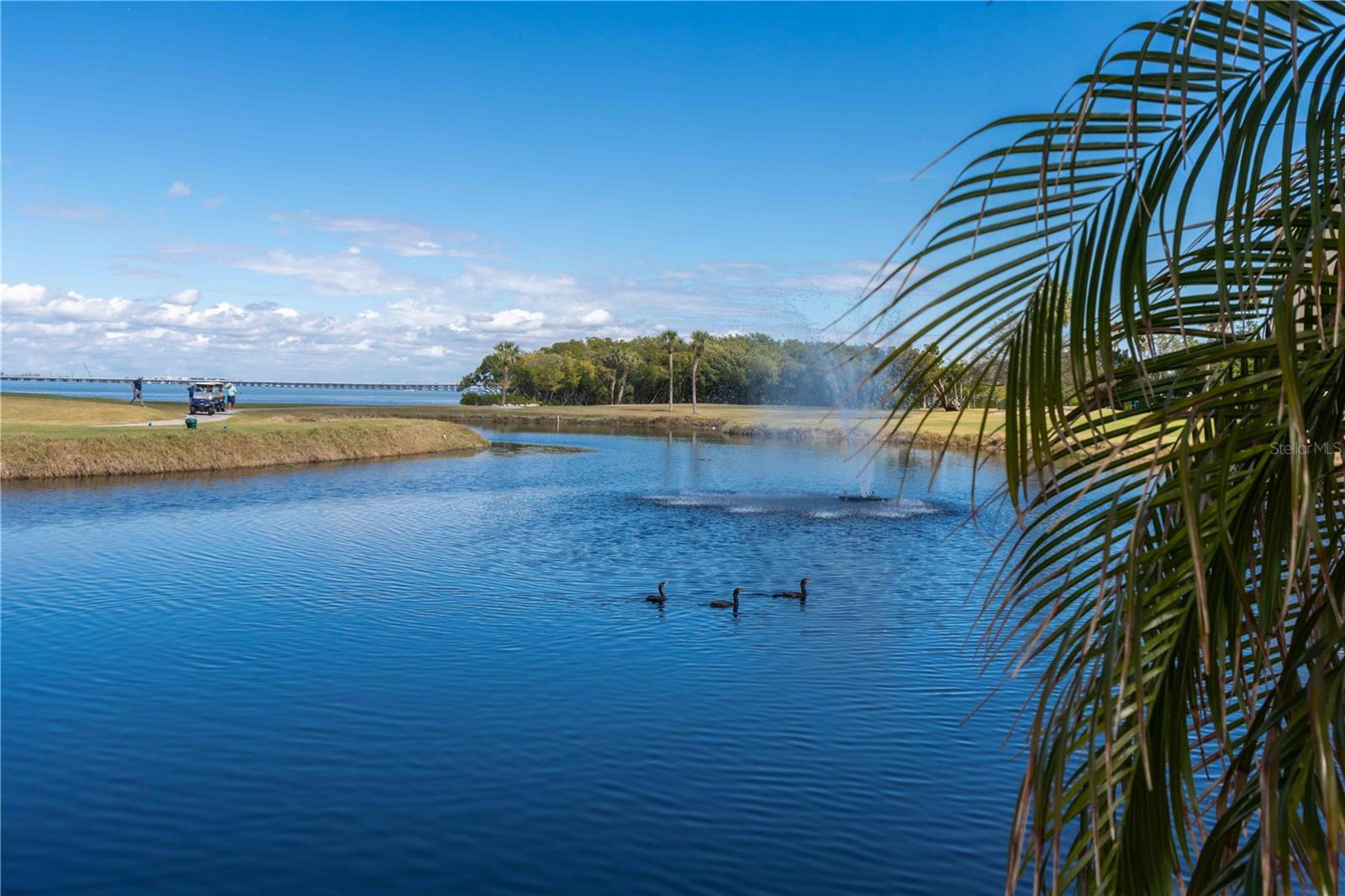 COVE CAY 26-21 VILLAGE II - Residential