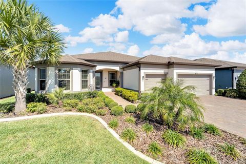 A home in LAND O LAKES