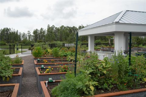 A home in LAND O LAKES