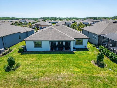 A home in LAND O LAKES