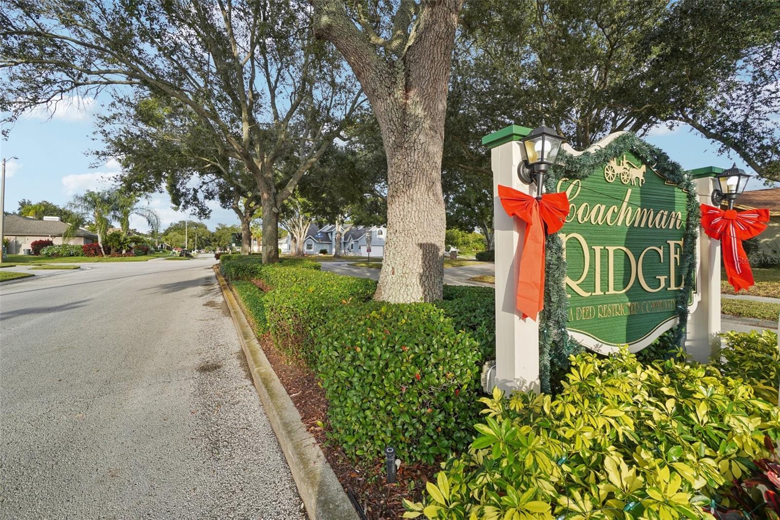 COACHMAN RIDGE TR A-II - Residential