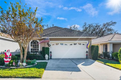 A home in MOUNT DORA