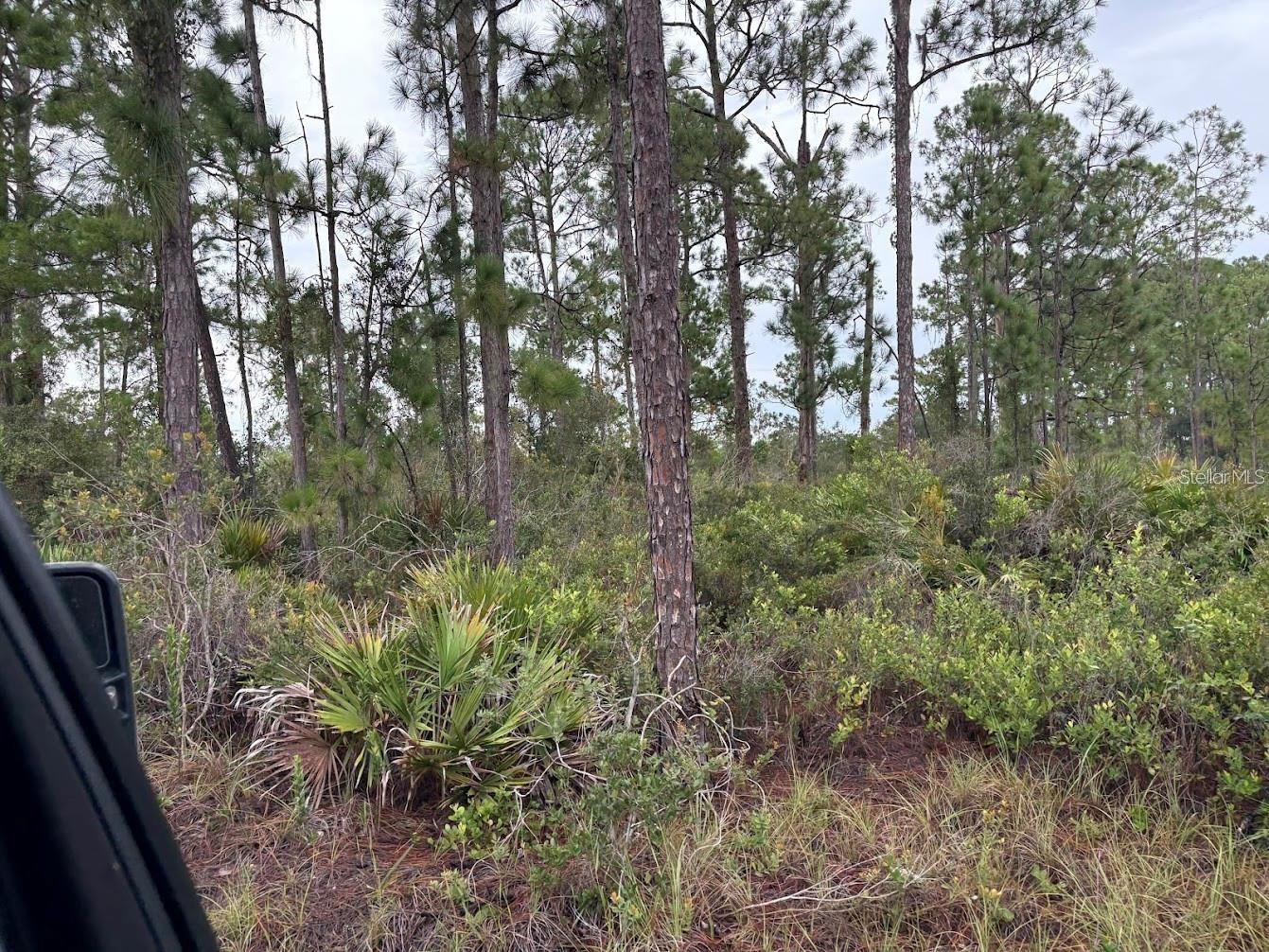 ORANGE BLOSSOM ESTATE - Land