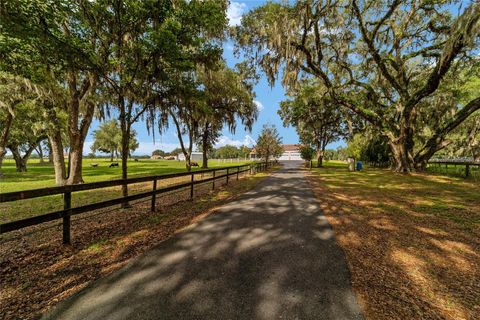 Tiny photo for 2035 NW 150th Avenue, Ocala, FL 34482 (MLS # OM725757)