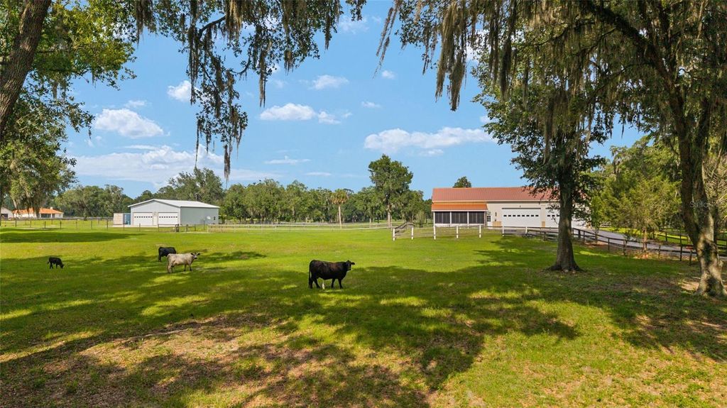 Photo of 2035 NW 150th Avenue, Ocala, FL 34482 (MLS # OM725757)