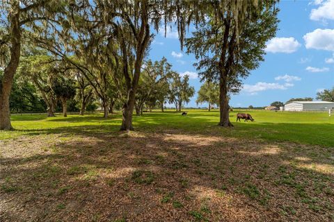 Tiny photo for 2035 NW 150th Avenue, Ocala, FL 34482 (MLS # OM725757)