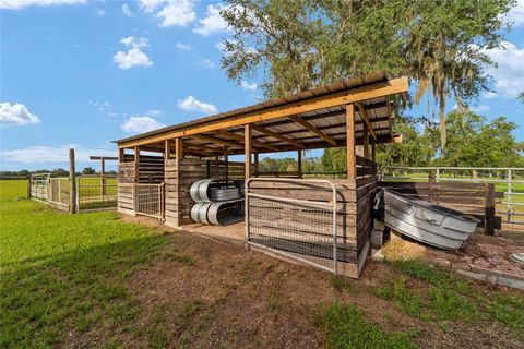 Tiny photo for 2035 NW 150th Avenue, Ocala, FL 34482 (MLS # OM725757)