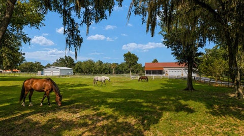 Photo of 2035 NW 150th Avenue, Ocala, FL 34482 (MLS # OM725757)
