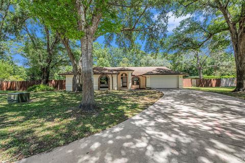 A home in LUTZ