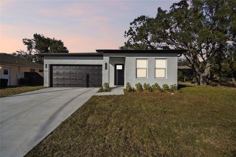 A home in SPRING HILL