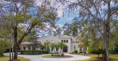 Photo of 18901 Lakes Edge Way, Odessa, FL 33556 (MLS # TB8468383)