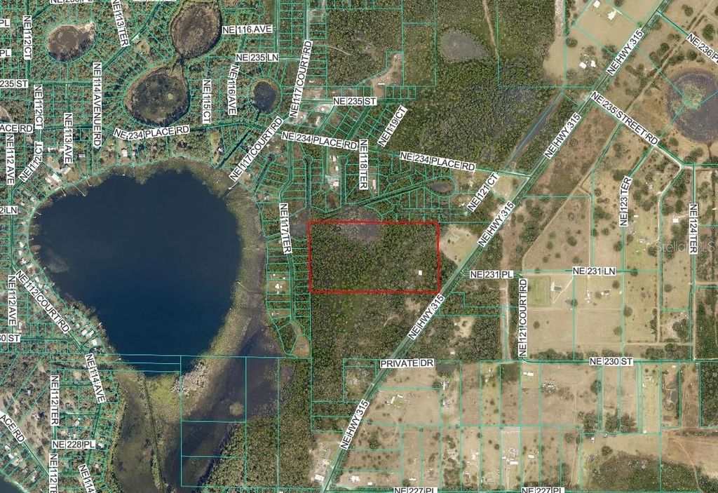 Photo of NE Hwy 315 Highway, Fort Mccoy, FL 32134 (MLS # OM718321)