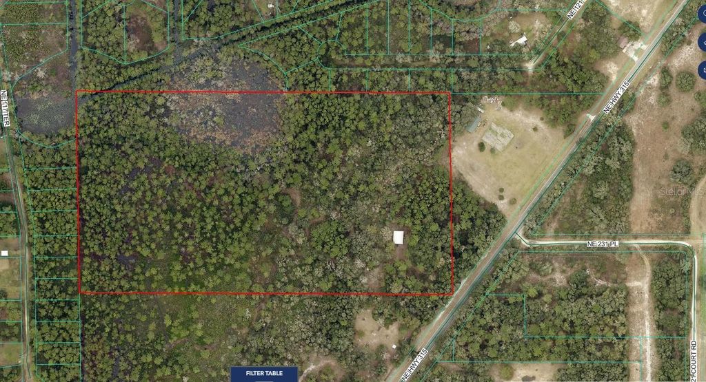 Photo of NE Hwy 315 Highway, Fort Mccoy, FL 32134 (MLS # OM718321)
