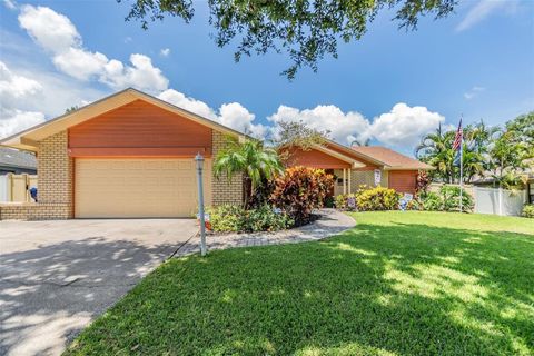 A home in PALM HARBOR