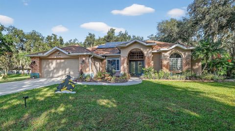 Photo of 28751 Walker Drive, Wesley Chapel, FL 33544 (MLS # W7879464)