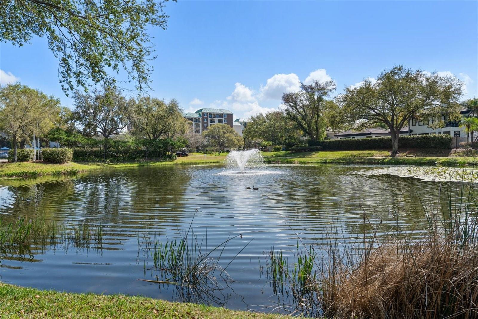 SEDDON COVE A CONDO PHAS - Residential