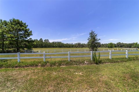 Tiny photo for 16490 NW 122 Terrace, Reddick, FL 32686 (MLS # OM705155)