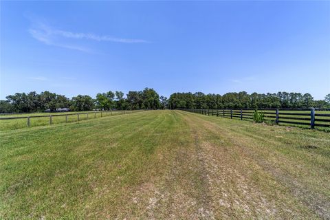 Tiny photo for 16490 NW 122 Terrace, Reddick, FL 32686 (MLS # OM705155)