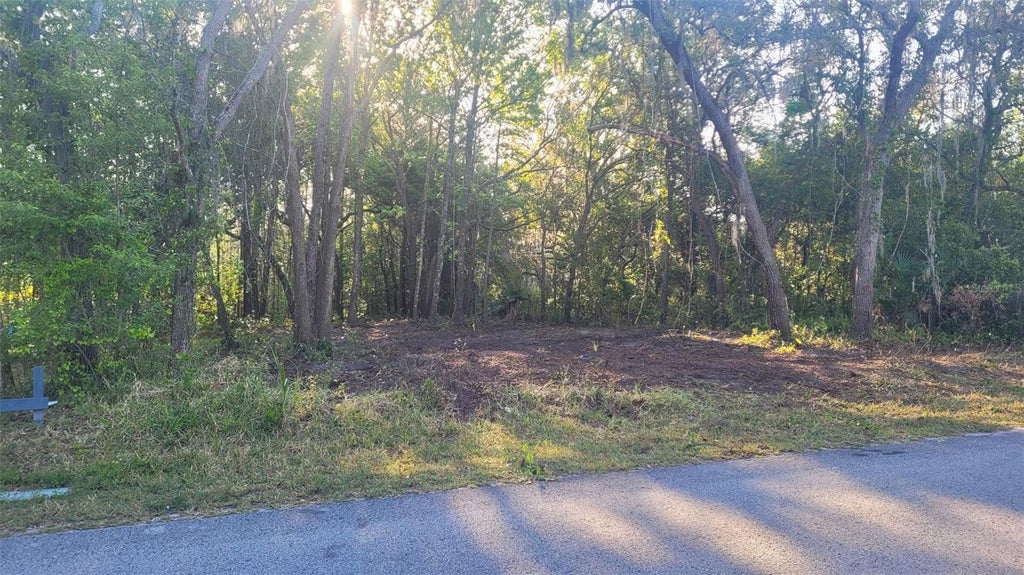 Photo of Marley Avenue, New Port Richey, FL 34654 (MLS # TB8545816)