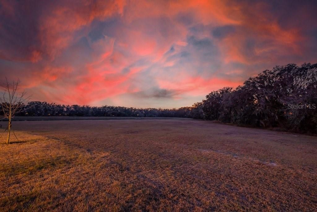 Photo of 14604 Horse Trot Road, Lithia, FL 33547 (MLS # TB8478703)