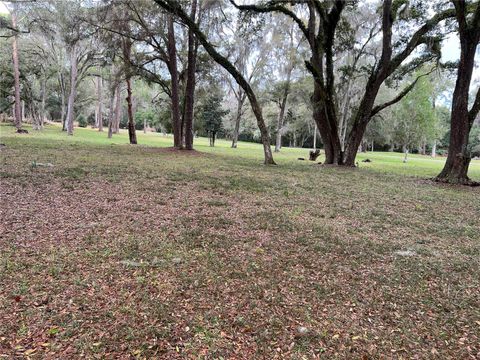 Tiny photo for Burkitt Rd, Dunnellon, FL 34432 (MLS # TB8390401)