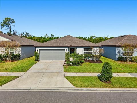 Photo of 30177 Merilee Place, Wesley Chapel, FL 33545 (MLS # TB8449234)