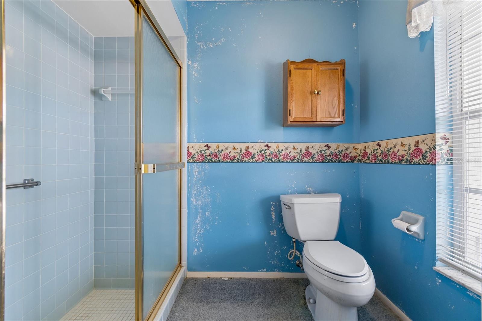 HERITAGE LAKE - Residential