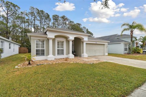 A home in WESLEY CHAPEL