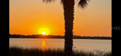 Tiny photo for 17610 Sawgrass Run, Deer Island, FL 32778 (MLS # O6394642)