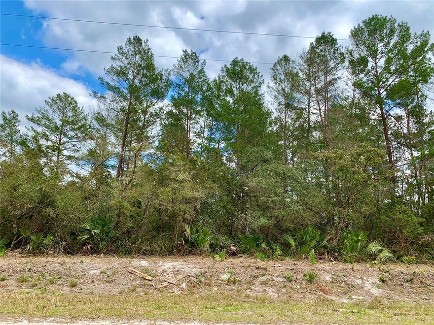 Corner, 1 acre parcel in Equestrian Royal Trails Subdivision, 194 x 225. There is no time limit to build, the minimum square footage is 1,200, once you build you may park your RV and boat. The community has miles of paved roads to bike ride, jog or walk. The community also has a park, enclosed pavilion with picnic tables and many activities throughout the year. The HOA is $65 per year with deeded access to Lake Norris of Maggie Jones and Lake Marion within the community. Do not hesitate, come drive by and view the property. No mobile, manufacture, or modular homes allow per deed restrictions. A golf cart friendly community, the zoning allows 2 horses per acre.