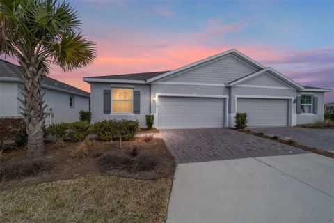 Photo of 5339 NW 46th Lane Road, Ocala, FL 34482 (MLS # OM719878)