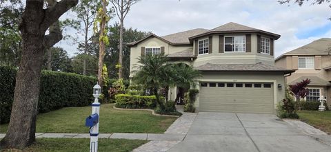 4217 FISHERMANS LAKE DRIVE LUTZ FL 33558