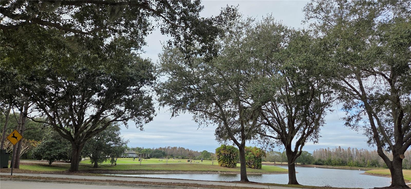 HERITAGE HARBOR VILLAGE 8 SOUT - Residential