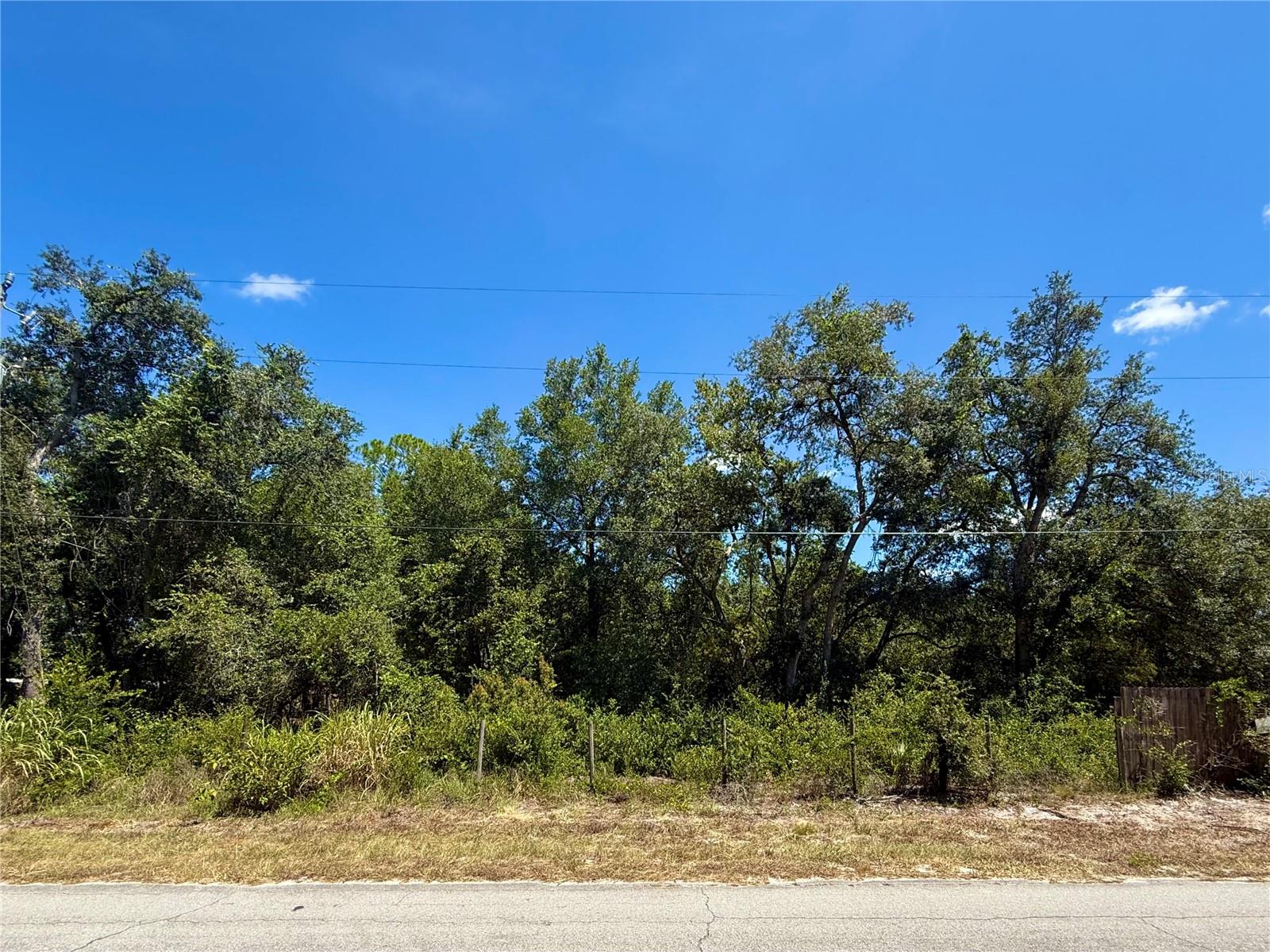 .49 parcel, zoned agriculture, (75x260) with no time limit to build. The zoning allows manufacture, mobile or single-family homes. Come view and plan your next Florida home site. Paved road, NO HOA or CDD, a survey is recommended for accurate dimensions. Behind the property is Pine Lake, you should be able to clear and enjoy the view.