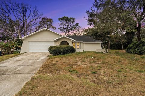 A home in SPRING HILL