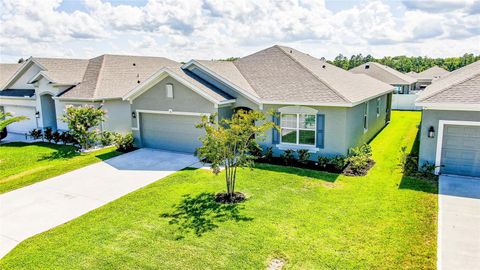 A home in PALM COAST