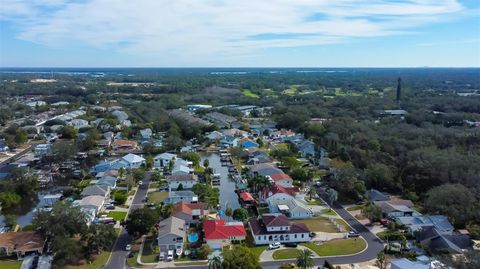 A home in PALM HARBOR