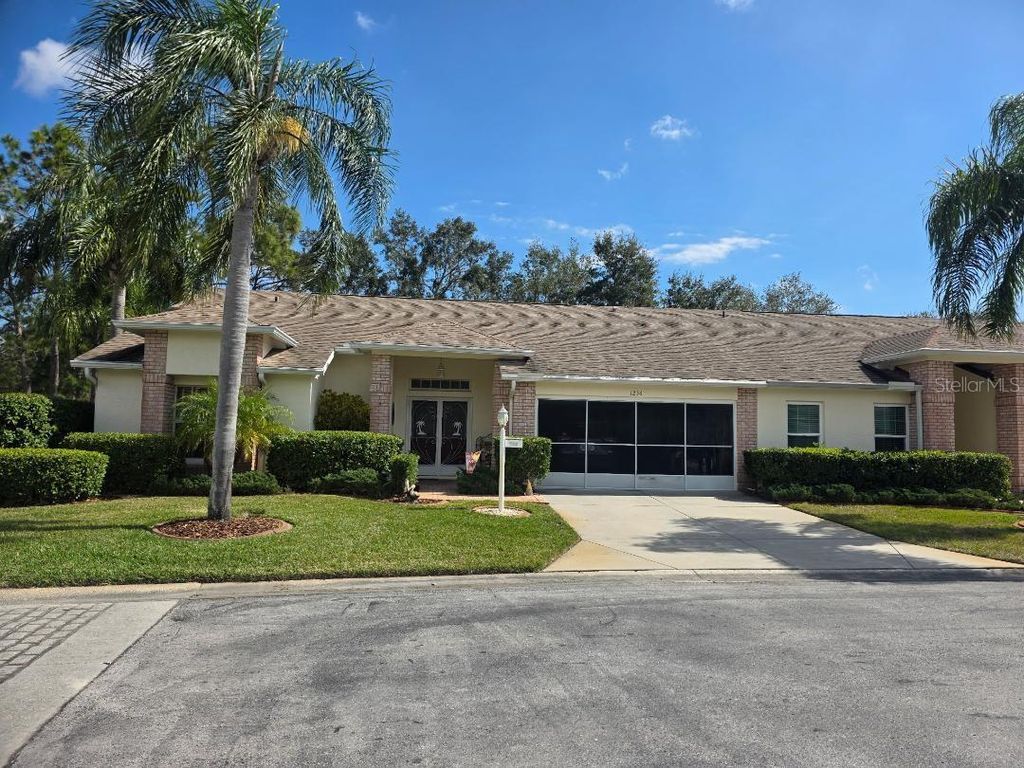 Photo of 1236 Flora Vista Street, Trinity, FL 34655 (MLS # TB8352413)