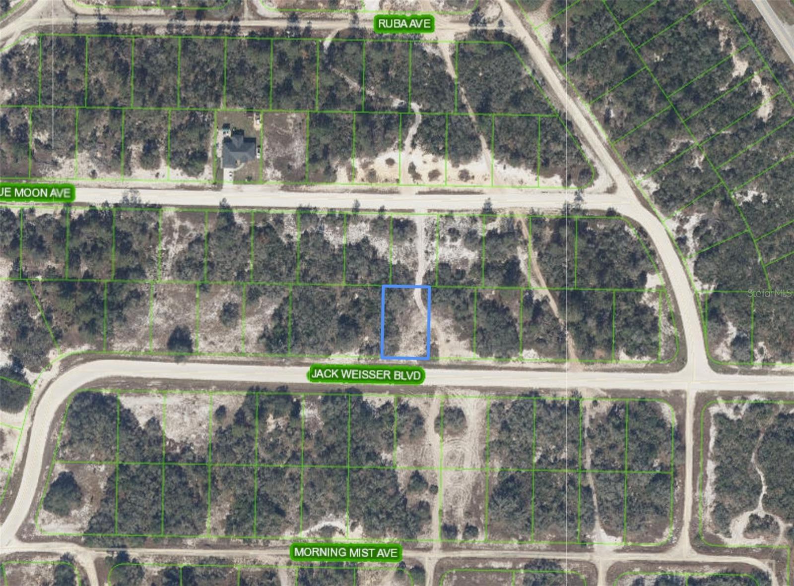 462 JACK WEISSER BOULEVARD