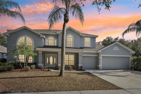 Single Family Residence in TAMPA FL 10246 SHADOW BRANCH DRIVE.jpg