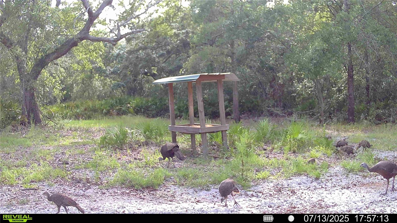 ROLLING PINES - Residential