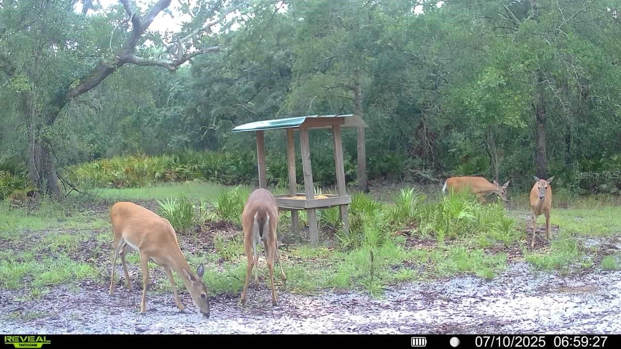 ROLLING PINES - Residential
