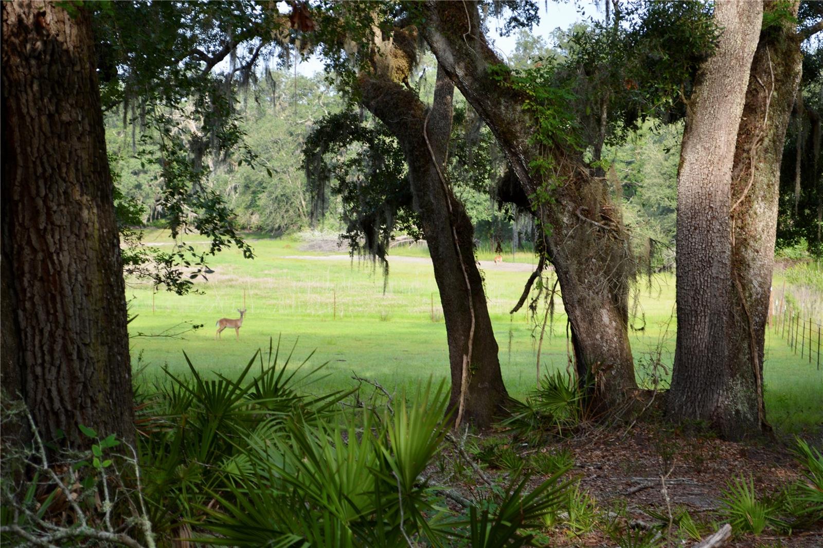 ROLLING PINES - Residential