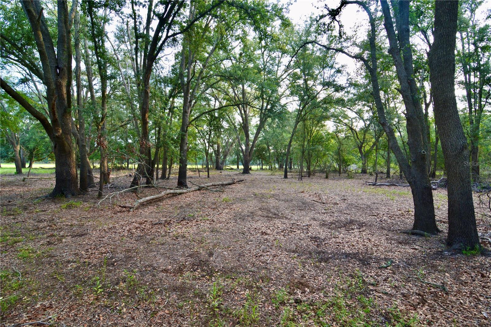 ROLLING PINES - Residential