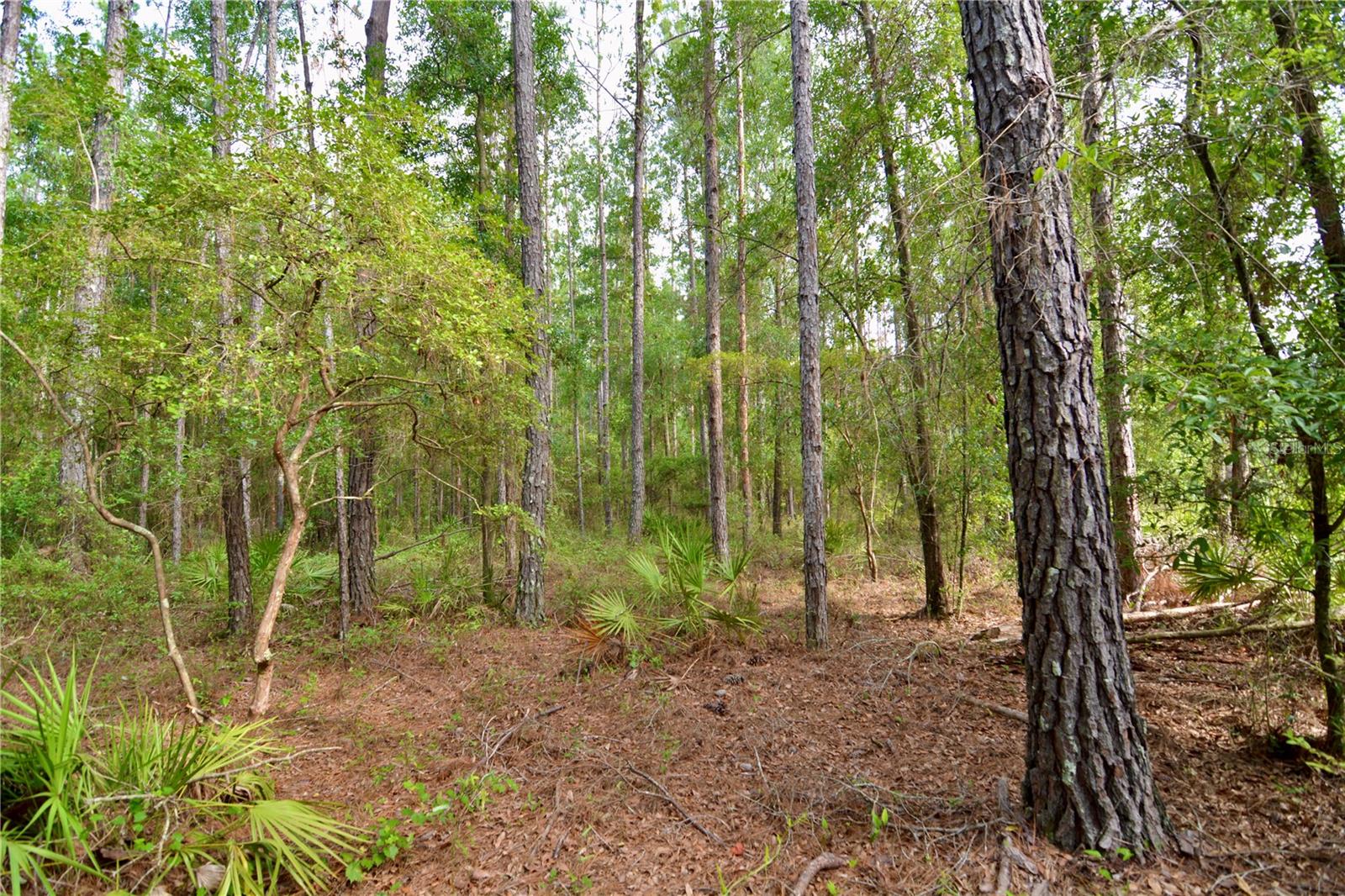 ROLLING PINES - Residential