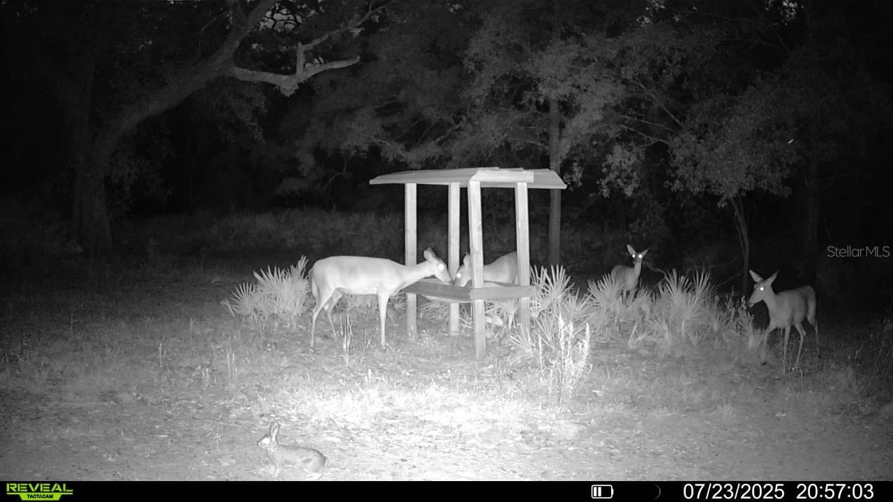 ROLLING PINES - Residential